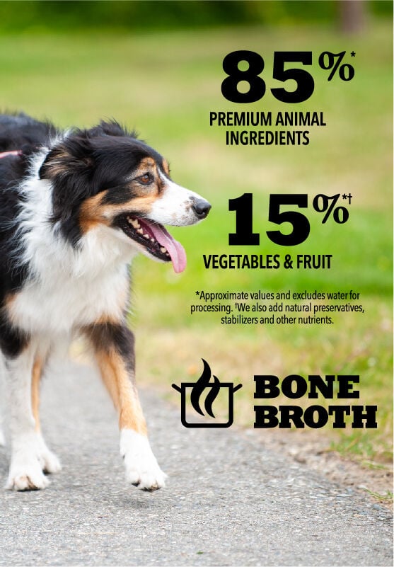 Premium Chunks Lamb Recipe in Bone Broth